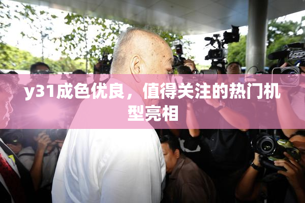 y31成色优良，值得关注的热门机型亮相