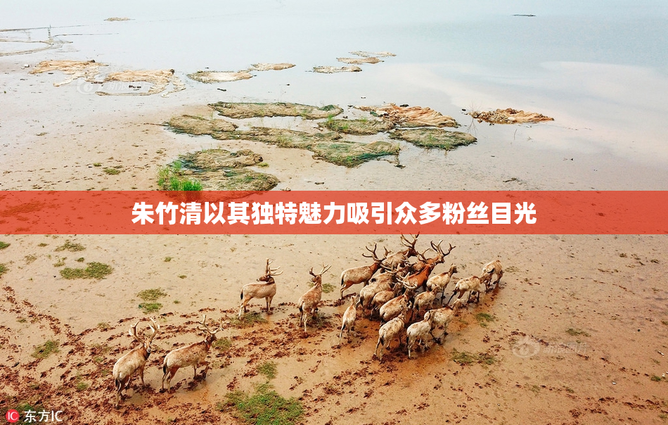 朱竹清以其独特魅力吸引众多粉丝目光