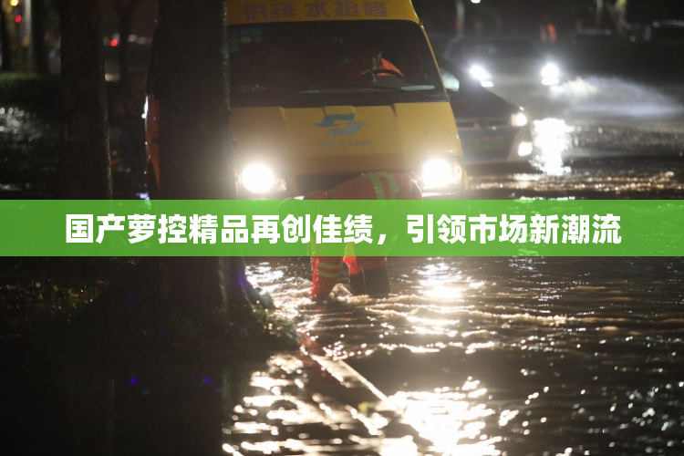 国产萝控精品再创佳绩，引领市场新潮流