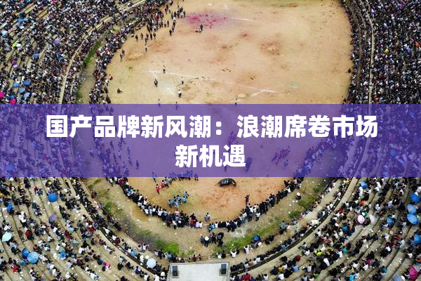国产品牌新风潮：浪潮席卷市场新机遇