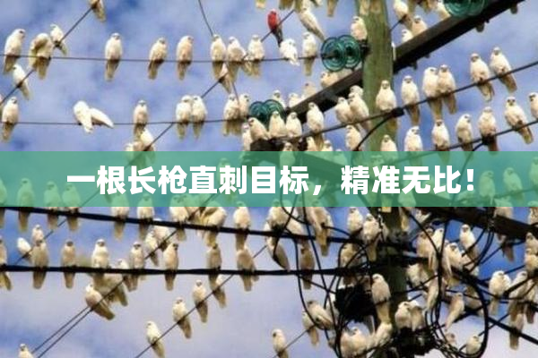 一根长枪直刺目标，精准无比！
