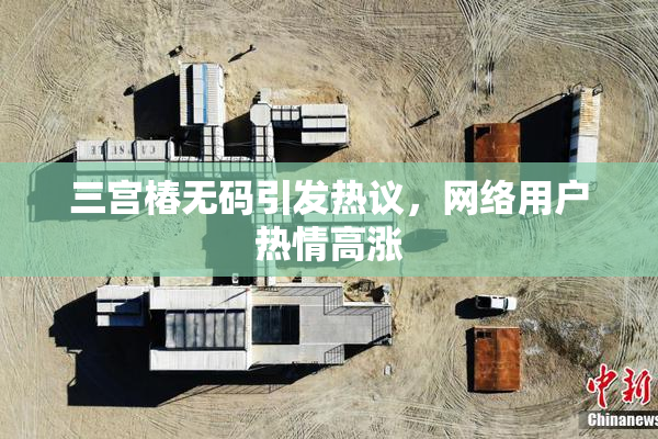 三宫椿无码引发热议，网络用户热情高涨