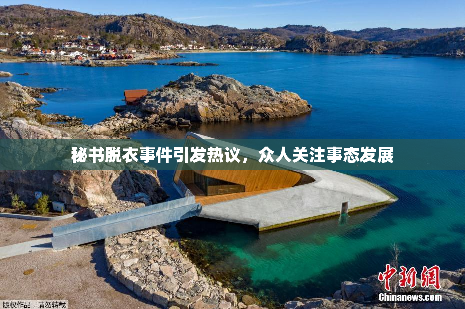 秘书脱衣事件引发热议，众人关注事态发展
