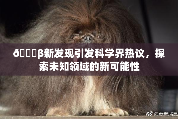 🔞β新发现引发科学界热议，探索未知领域的新可能性