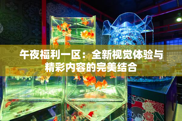 午夜福利一区：全新视觉体验与精彩内容的完美结合