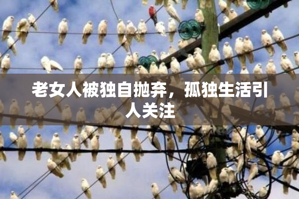 老女人被独自抛弃，孤独生活引人关注