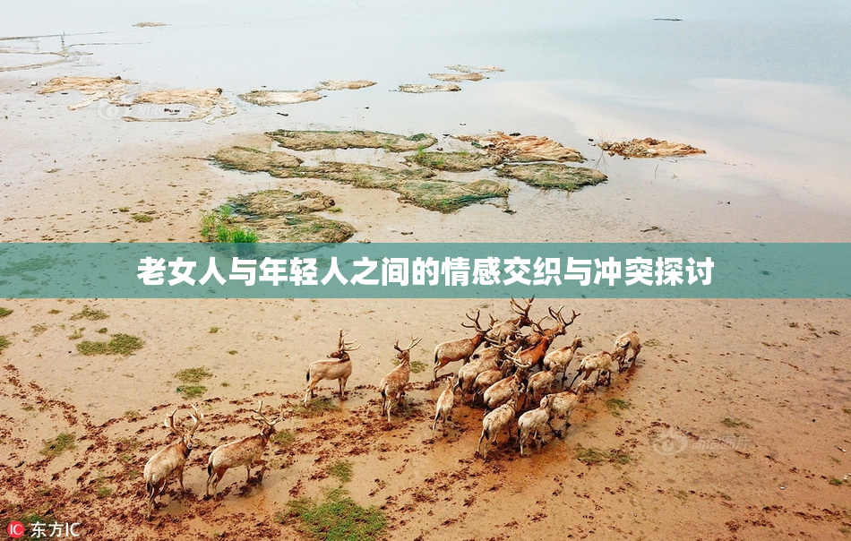 老女人与年轻人之间的情感交织与冲突探讨