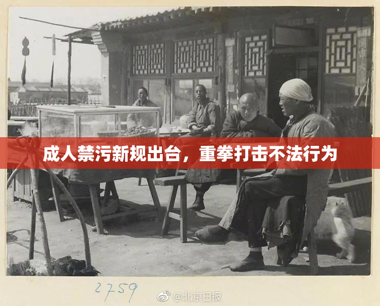 成人禁污新规出台，重拳打击不法行为