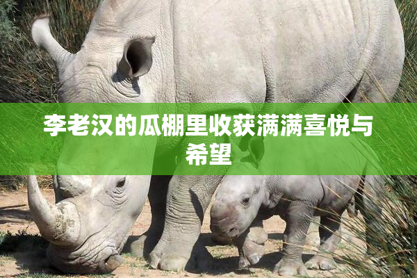 李老汉的瓜棚里收获满满喜悦与希望