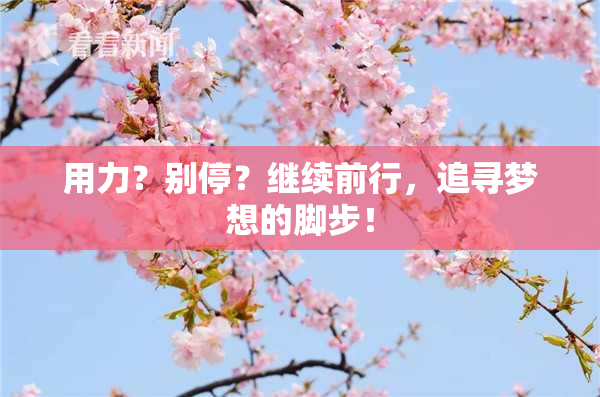 用力？别停？继续前行，追寻梦想的脚步！