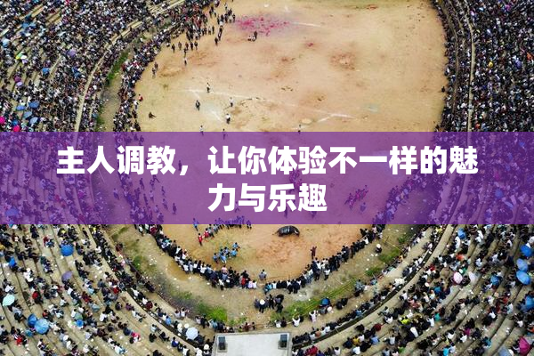 主人调教，让你体验不一样的魅力与乐趣