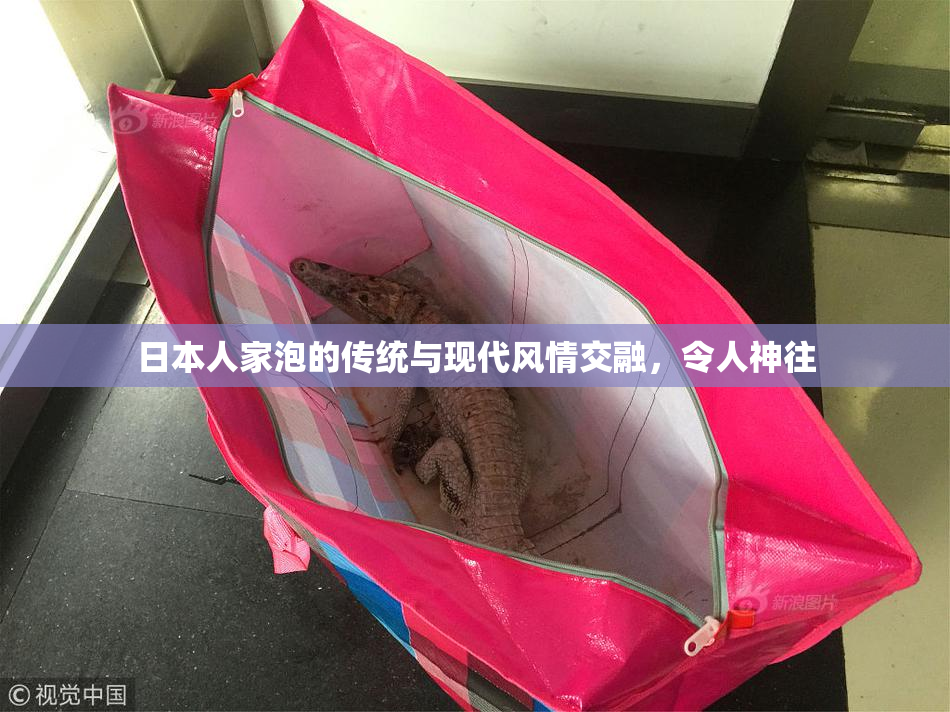 日本人家泡的传统与现代风情交融，令人神往