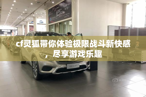 cf灵狐带你体验极限战斗新快感，尽享游戏乐趣