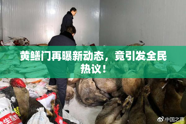 黄鳝门再曝新动态，竟引发全民热议！