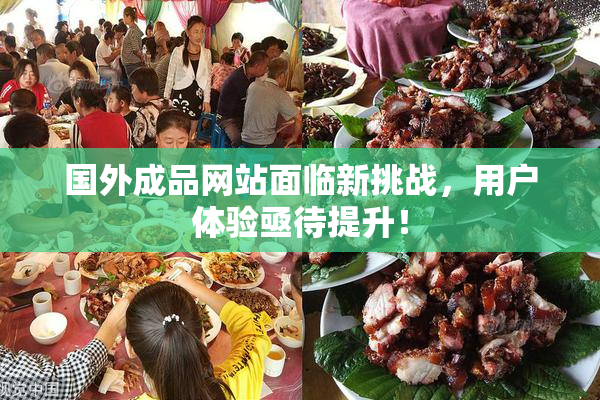 国外成品网站面临新挑战，用户体验亟待提升！