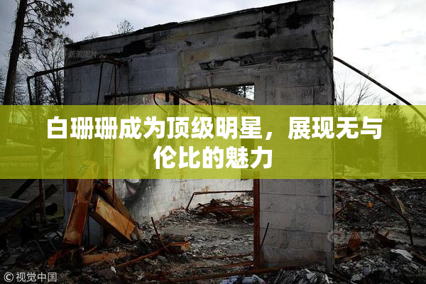 白珊珊成为顶级明星，展现无与伦比的魅力