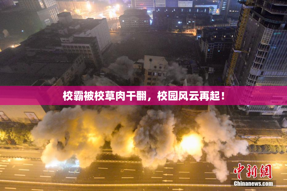 校霸被校草肉干翻，校园风云再起！