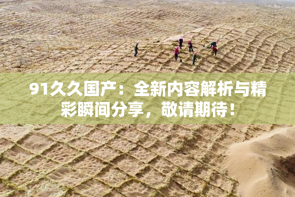 91久久国产：全新内容解析与精彩瞬间分享，敬请期待！