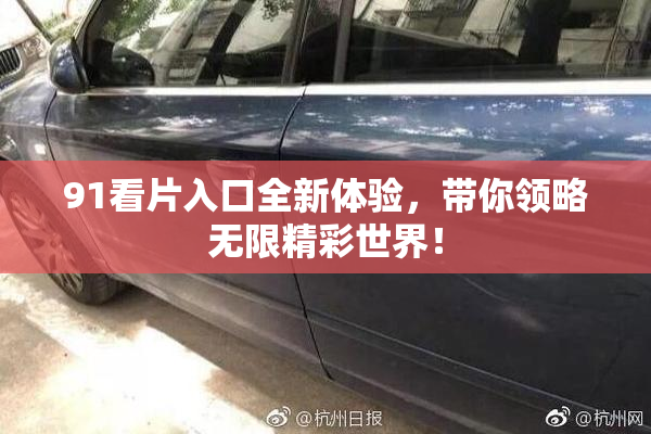 91看片入口全新体验，带你领略无限精彩世界！
