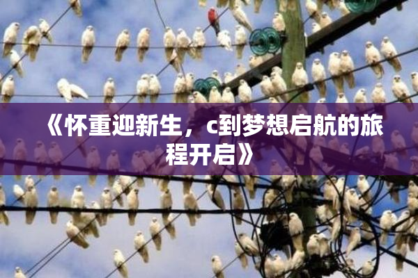 《怀重迎新生，c到梦想启航的旅程开启》