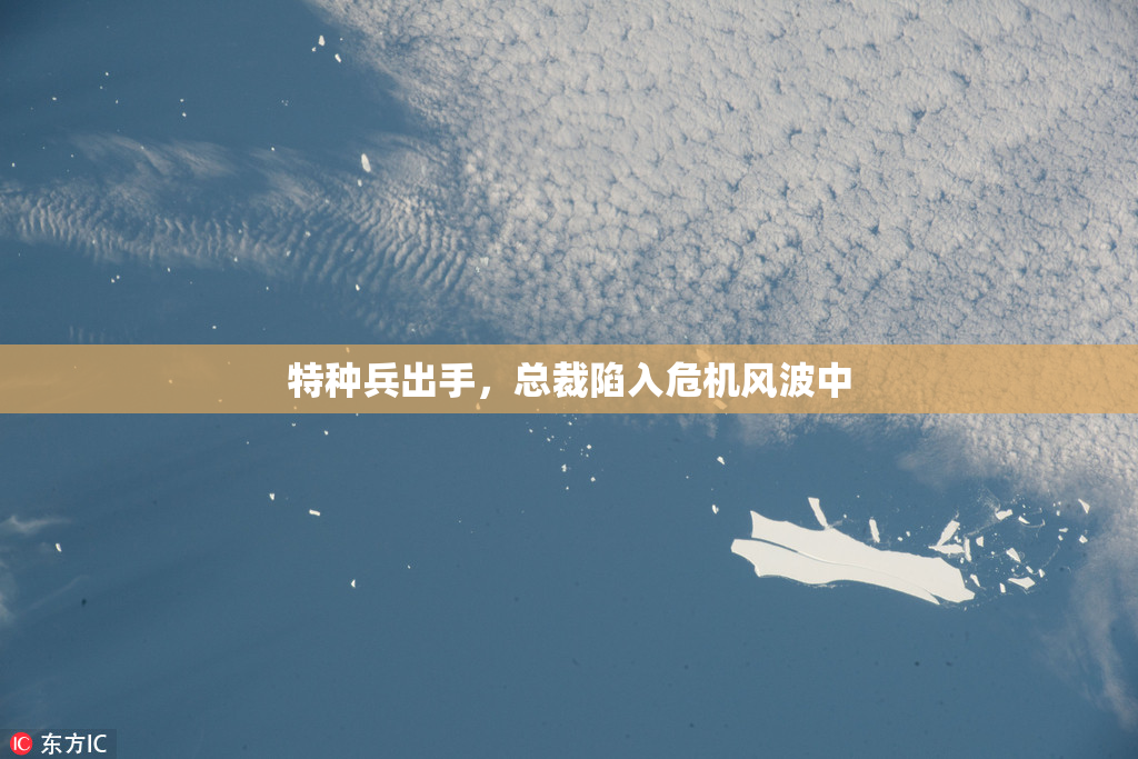 特种兵出手，总裁陷入危机风波中
