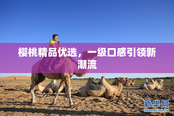 樱桃精品优选，一级口感引领新潮流