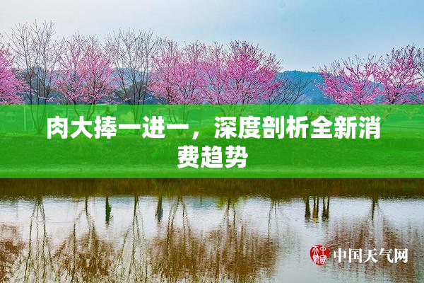 肉大捧一进一，深度剖析全新消费趋势