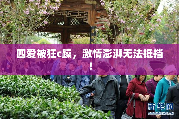 四爱被狂c躁，激情澎湃无法抵挡！