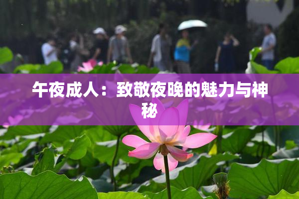 午夜成人：致敬夜晚的魅力与神秘