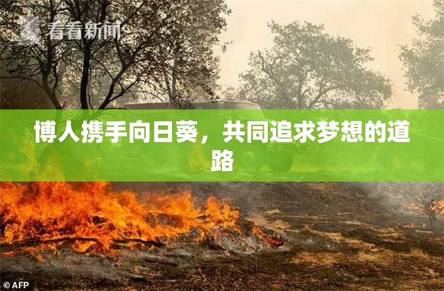 博人携手向日葵，共同追求梦想的道路