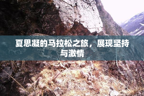 夏思凝的马拉松之旅，展现坚持与激情