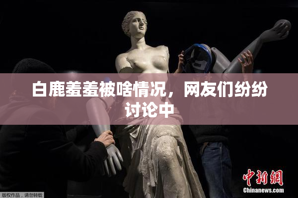 白鹿羞羞被啥情况，网友们纷纷讨论中