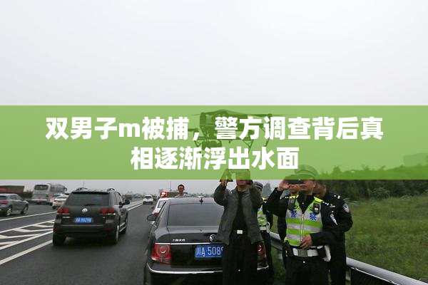 双男子m被捕，警方调查背后真相逐渐浮出水面