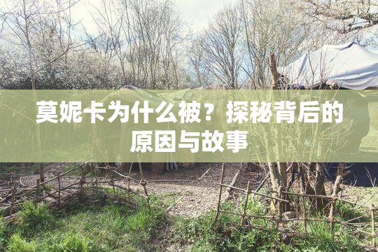 莫妮卡为什么被？探秘背后的原因与故事