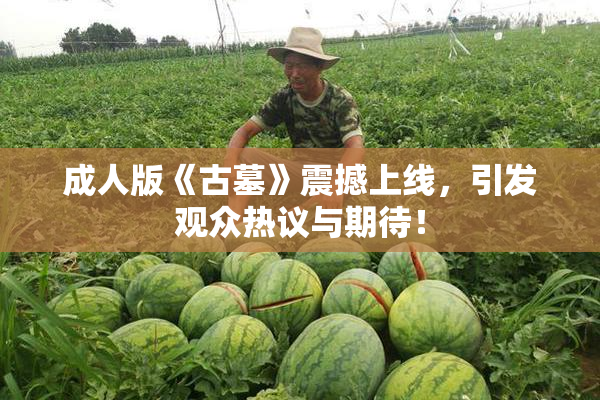成人版《古墓》震撼上线，引发观众热议与期待！