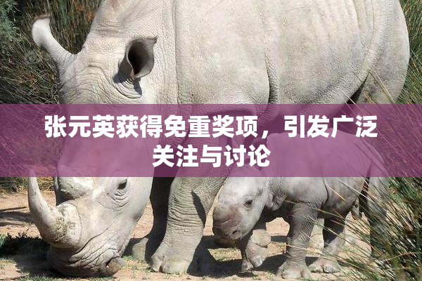 张元英获得免重奖项，引发广泛关注与讨论