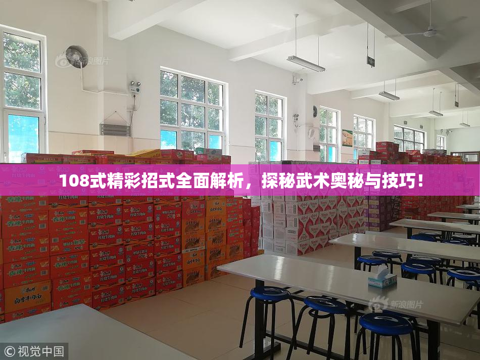 108式精彩招式全面解析，探秘武术奥秘与技巧！