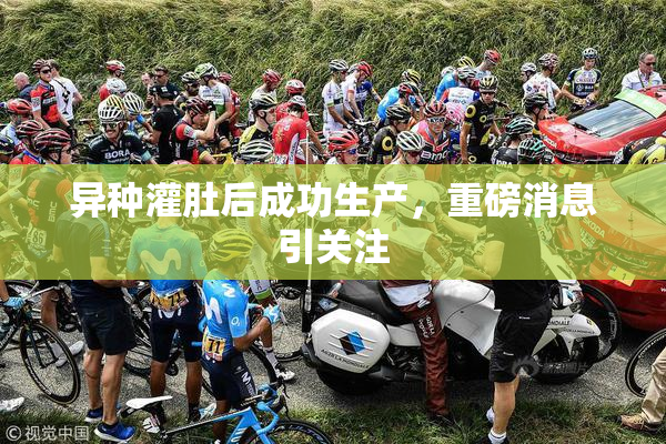 异种灌肚后成功生产，重磅消息引关注