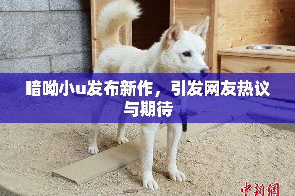 暗呦小u发布新作，引发网友热议与期待