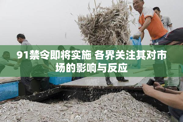91禁令即将实施 各界关注其对市场的影响与反应