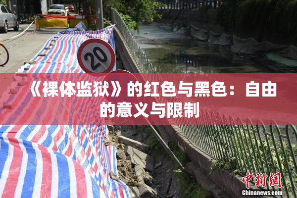 《裸体监狱》的红色与黑色：自由的意义与限制