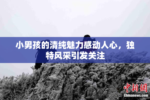 小男孩的清纯魅力感动人心，独特风采引发关注