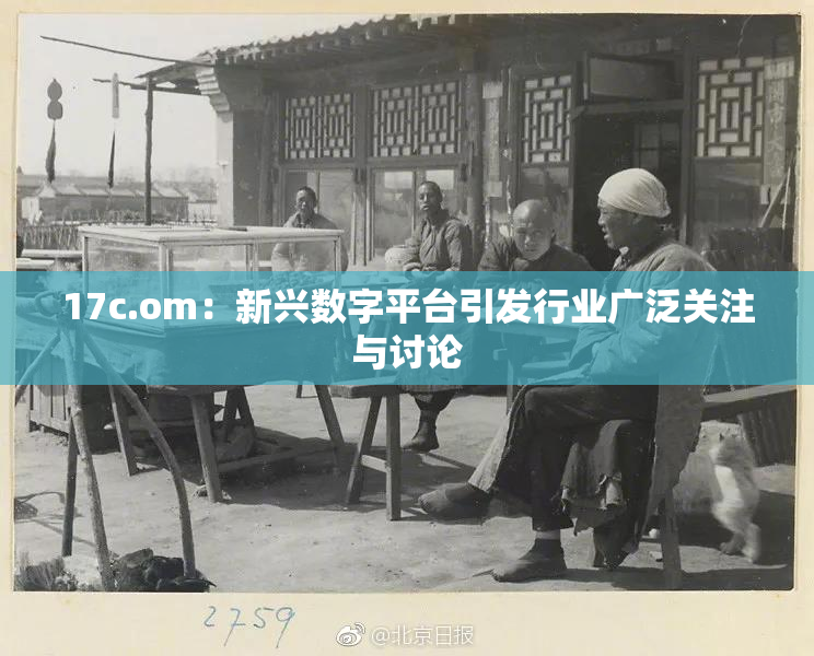 17c.om：新兴数字平台引发行业广泛关注与讨论
