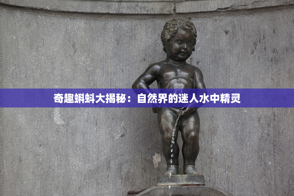 奇趣蝌蚪大揭秘：自然界的迷人水中精灵
