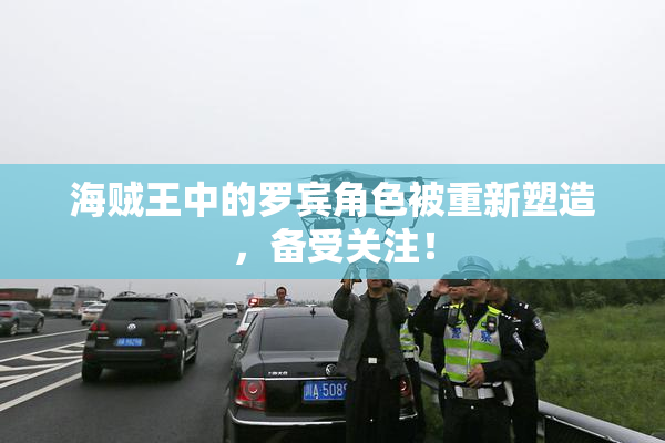 海贼王中的罗宾角色被重新塑造，备受关注！