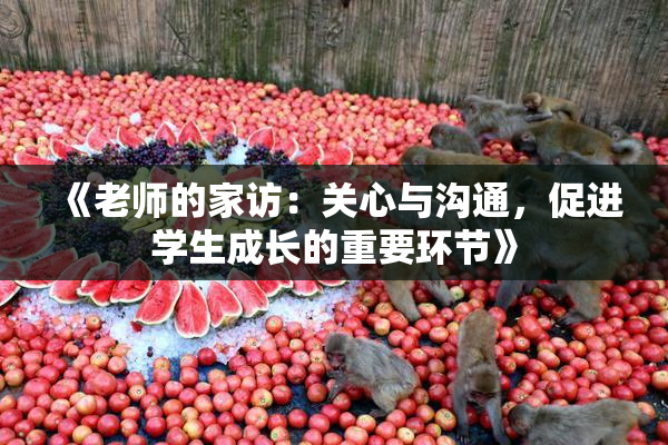 《老师的家访：关心与沟通，促进学生成长的重要环节》