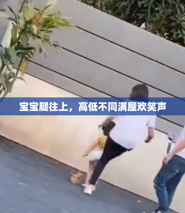 宝宝腿往上，高低不同满屋欢笑声