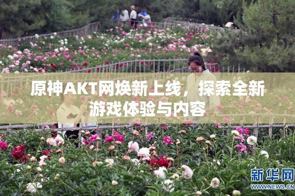 原神AKT网焕新上线，探索全新游戏体验与内容