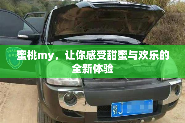 蜜桃my，让你感受甜蜜与欢乐的全新体验