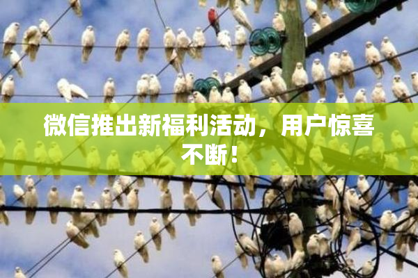 微信推出新福利活动，用户惊喜不断！